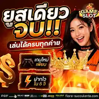เว็บ แท้ สล็อต จบในเว็บเดียว